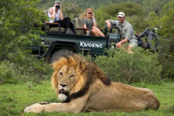 Abu Dhabi City Tour: Sheikh Zayed Mosque, Corniche, Heritage Village & Louvre Abu Dhabi