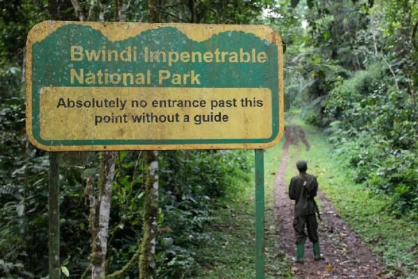 6 Oman Days Tour across Muscat, Wadi Shab, Ras Al Jinz, Wahiba Sands, and Nizwa